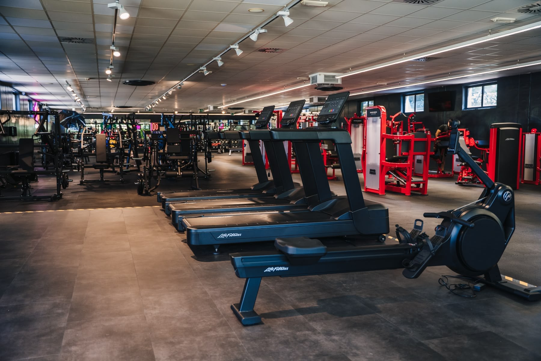 Laufbänder und Cardio-Geräte in der Cardio Zone im FITPULSE Sollenau